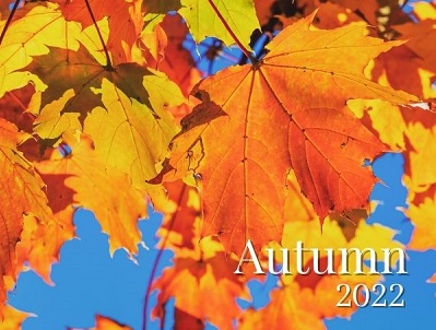 MTAS Annual Autumn Exhibition 2022